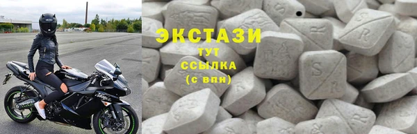 ECSTASY Богородицк